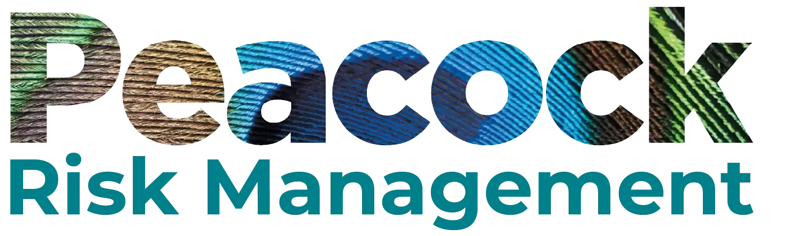 Peacock Risk Management Logo